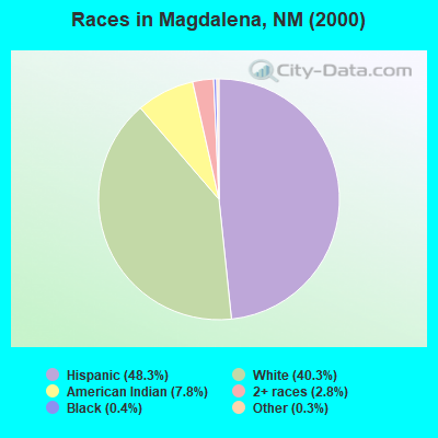 Races in Magdalena, NM (2000)