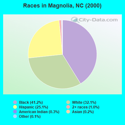 Races in Magnolia, NC (2000)