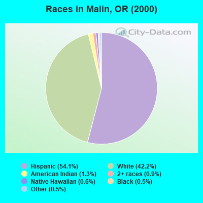 Races in Malin, OR (2000)