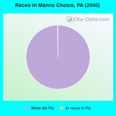 Races in Manns Choice, PA (2000)