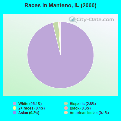 Races in Manteno, IL (2000)