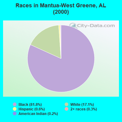 Races in Mantua-West Greene, AL (2000)