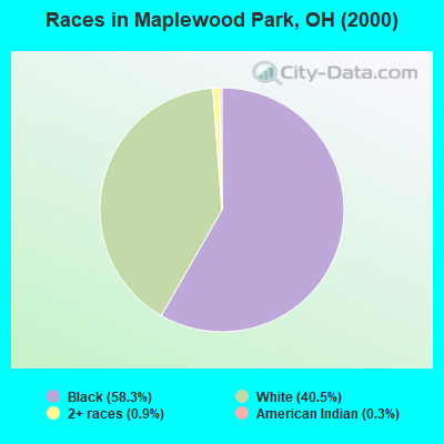 Races in Maplewood Park, OH (2000)