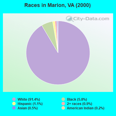 Races in Marion, VA (2000)