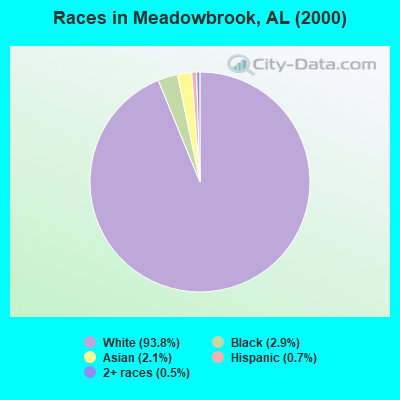 Races in Meadowbrook, AL (2000)