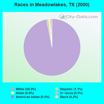Races in Meadowlakes, TX (2000)