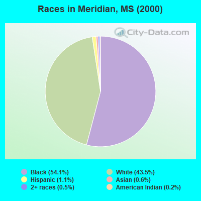 Races in Meridian, MS (2000)