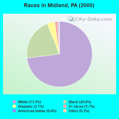 Races in Midland, PA (2000)