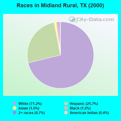 Races in Midland Rural, TX (2000)