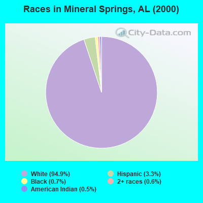 Races in Mineral Springs, AL (2000)