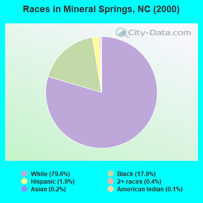 Races in Mineral Springs, NC (2000)