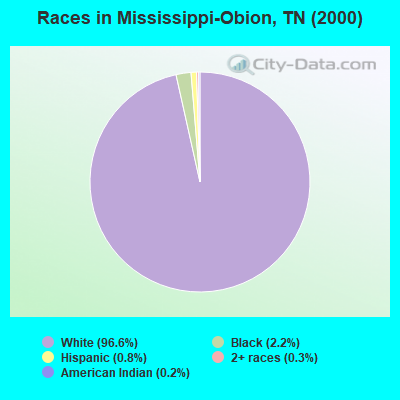 Races in Mississippi-Obion, TN (2000)