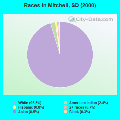 Races in Mitchell, SD (2000)