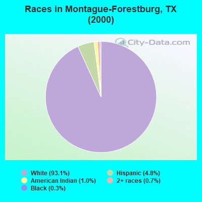 Races in Montague-Forestburg, TX (2000)