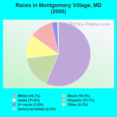 Races in Montgomery Village, MD (2000)