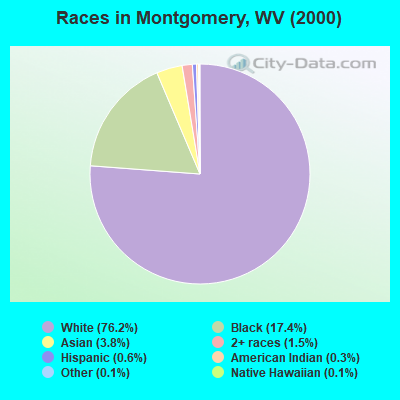Races in Montgomery, WV (2000)