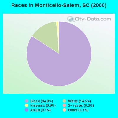 Races in Monticello-Salem, SC (2000)