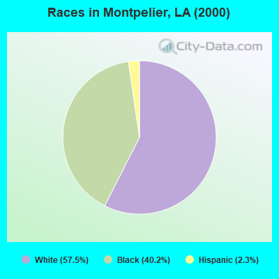 Races in Montpelier, LA (2000)