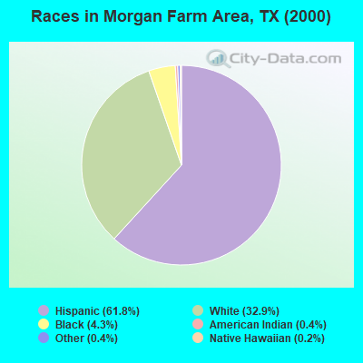 Races in Morgan Farm Area, TX (2000)