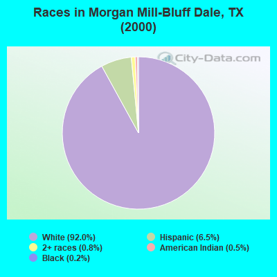 Races in Morgan Mill-Bluff Dale, TX (2000)