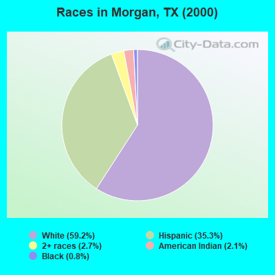 Races in Morgan, TX (2000)
