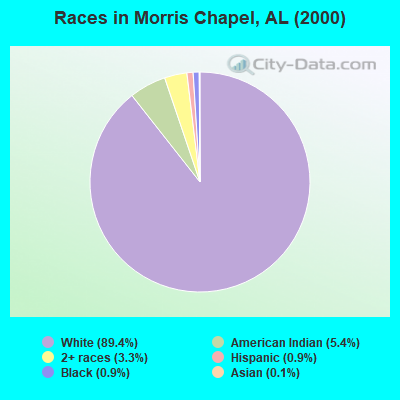 Races in Morris Chapel, AL (2000)