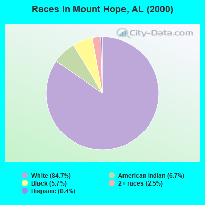 Races in Mount Hope, AL (2000)