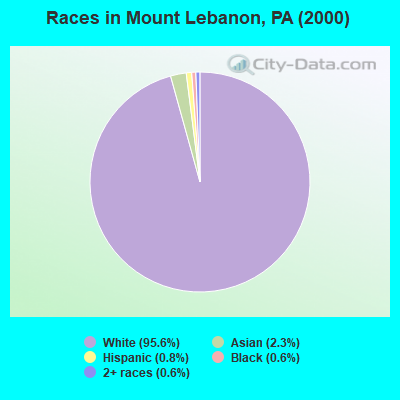 Races in Mount Lebanon, PA (2000)