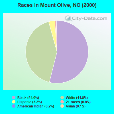 Races in Mount Olive, NC (2000)
