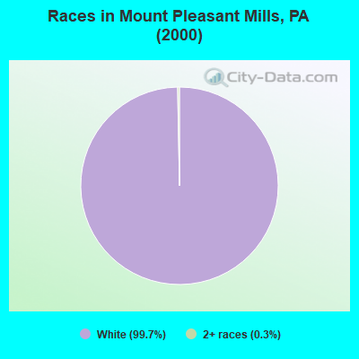 Races in Mount Pleasant Mills, PA (2000)