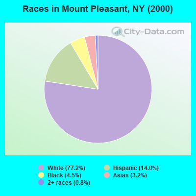 Races in Mount Pleasant, NY (2000)