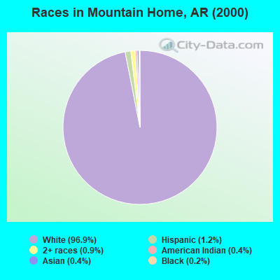 Races in Mountain Home, AR (2000)