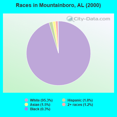 Races in Mountainboro, AL (2000)