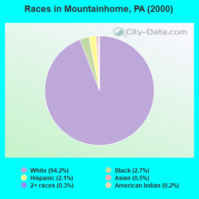 Races in Mountainhome, PA (2000)