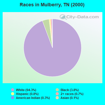 Races in Mulberry, TN (2000)