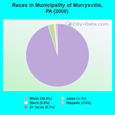 Races in Municipality of Murrysville, PA (2000)