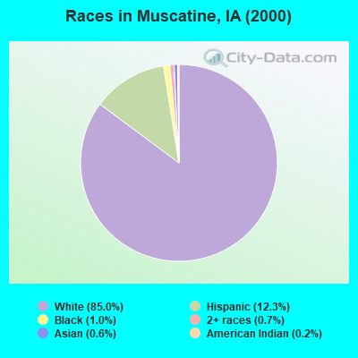 Races in Muscatine, IA (2000)