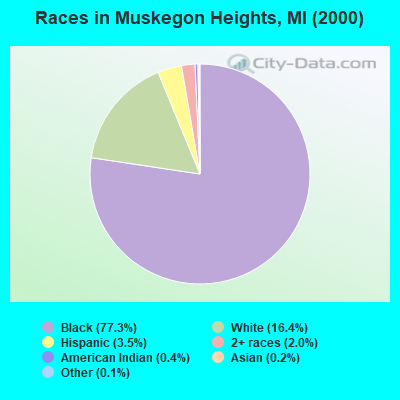 Races in Muskegon Heights, MI (2000)