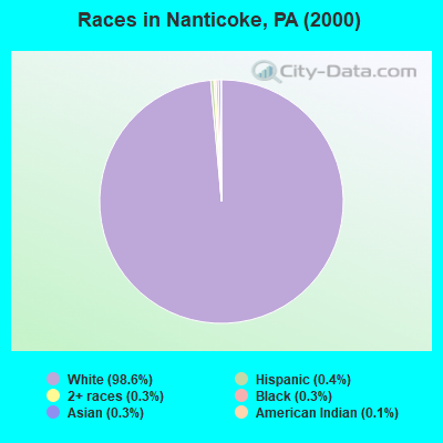 Races in Nanticoke, PA (2000)