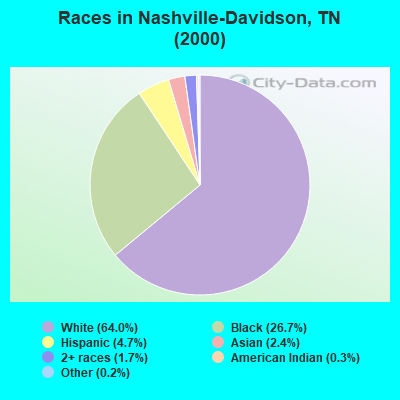Races in Nashville-Davidson, TN (2000)