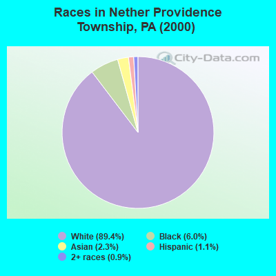 Races in Nether Providence Township, PA (2000)