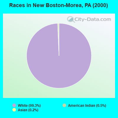 Races in New Boston-Morea, PA (2000)