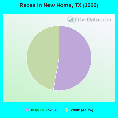 Races in New Home, TX (2000)