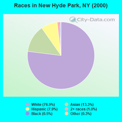 Races in New Hyde Park, NY (2000)