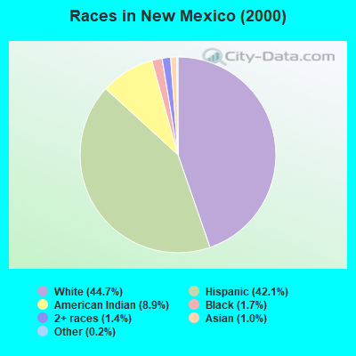 Races in New Mexico (2000)
