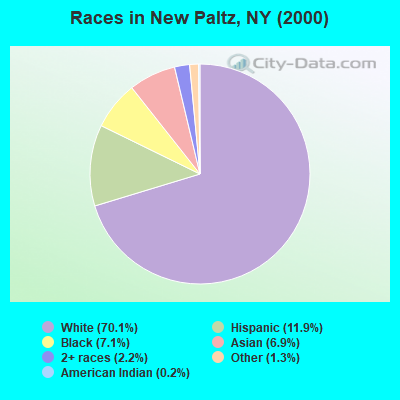 Races in New Paltz, NY (2000)
