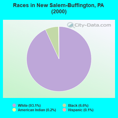 Races in New Salem-Buffington, PA (2000)