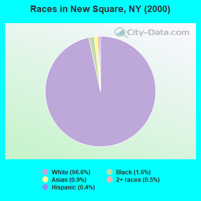 Races in New Square, NY (2000)