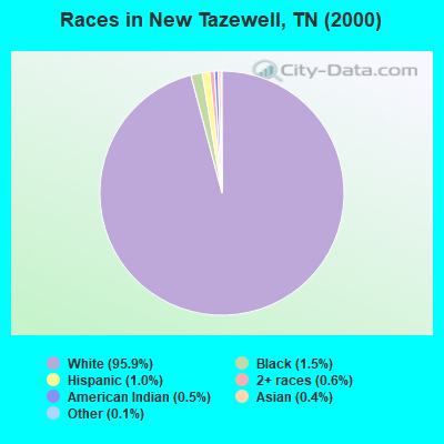 Races in New Tazewell, TN (2000)