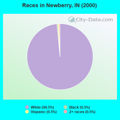 Races in Newberry, IN (2000)